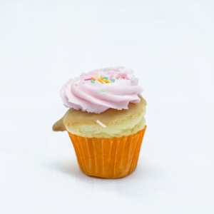 Professional Food Photographer, Brisbane