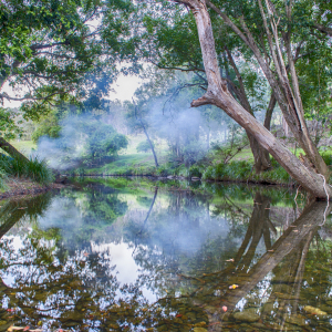 Creeky