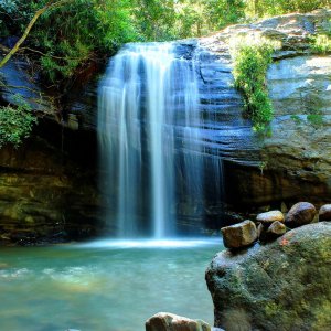 Buderim Falls, Sunshine Coast