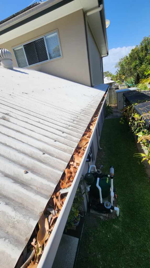 Close-up view of a white gutter completely clogged with dry brown leaves and debris next to a corrugated roof, illustrating the urgent need for professional gutter cleaning.